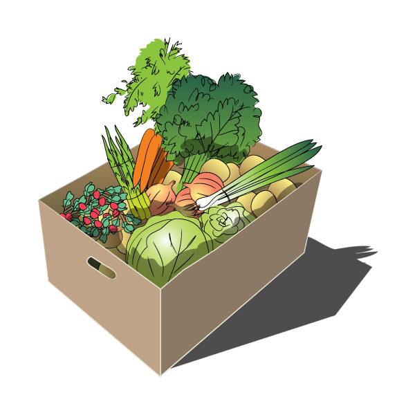 Small Farm Box CSA - Custom, All Products