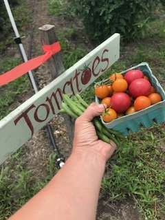 Next Happening: Farm Happenings for wK 8, July 25-28 2018