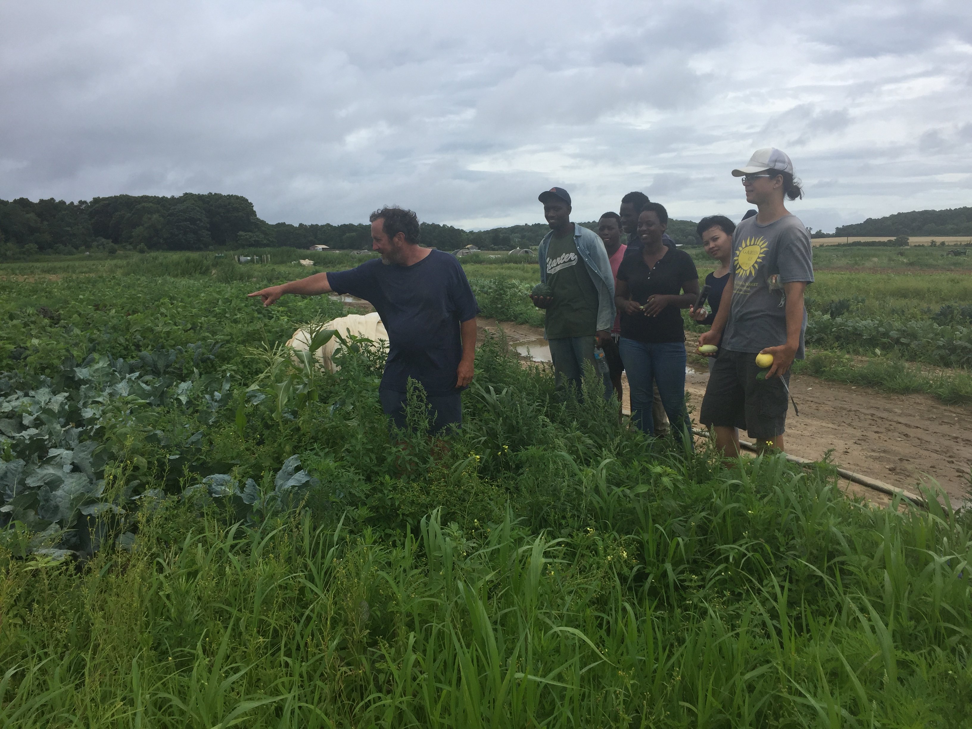 Previous Happening: Farm Happenings for August 1, 2018
