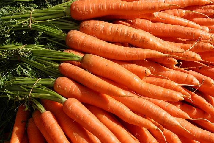 Next Happening: Week 13 Sept 4-9 Cooper's CSA Farm Happenings - Finally Carrots!!