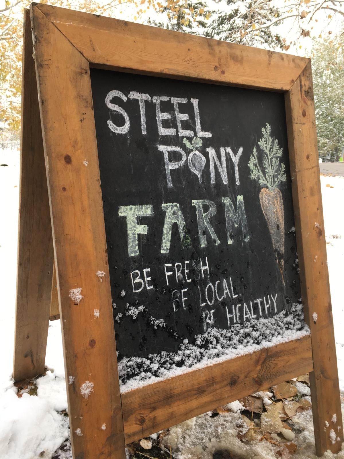Next Happening: Farm Happening Oct 9th and 10th - Potential Fall/Winter Share and Auto-Renew