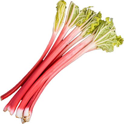 Rhubarb, not only a spring treat