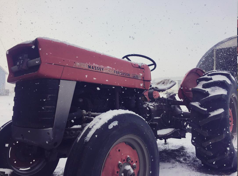 Previous Happening: Week 2 Winter/Spring Cooper's CSA Farm Happenings