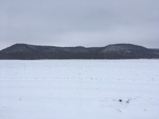 Week 4:  Snowy Farm Fields!