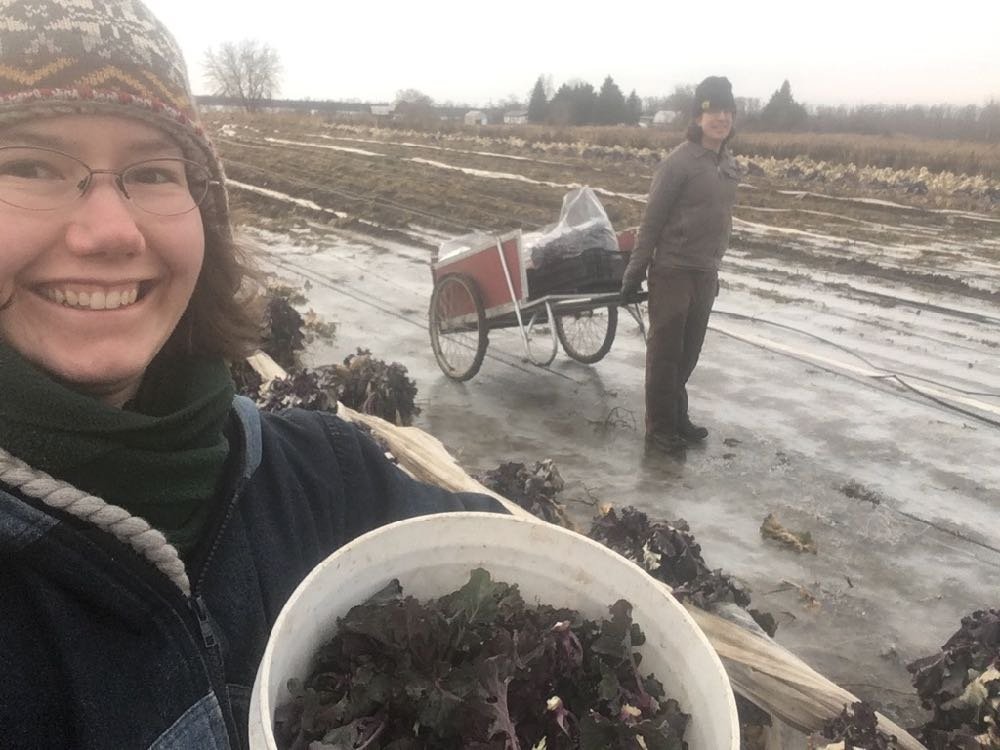 Next Happening: Now presenting... Kalettes!