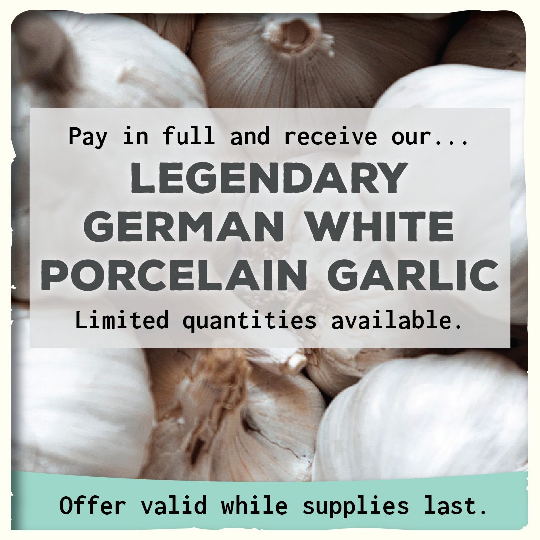 A garlic promotion