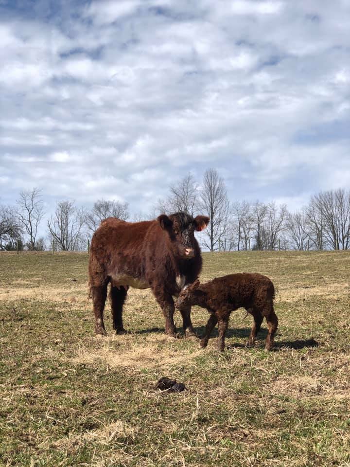 Farm Happenings for March 20, 2019