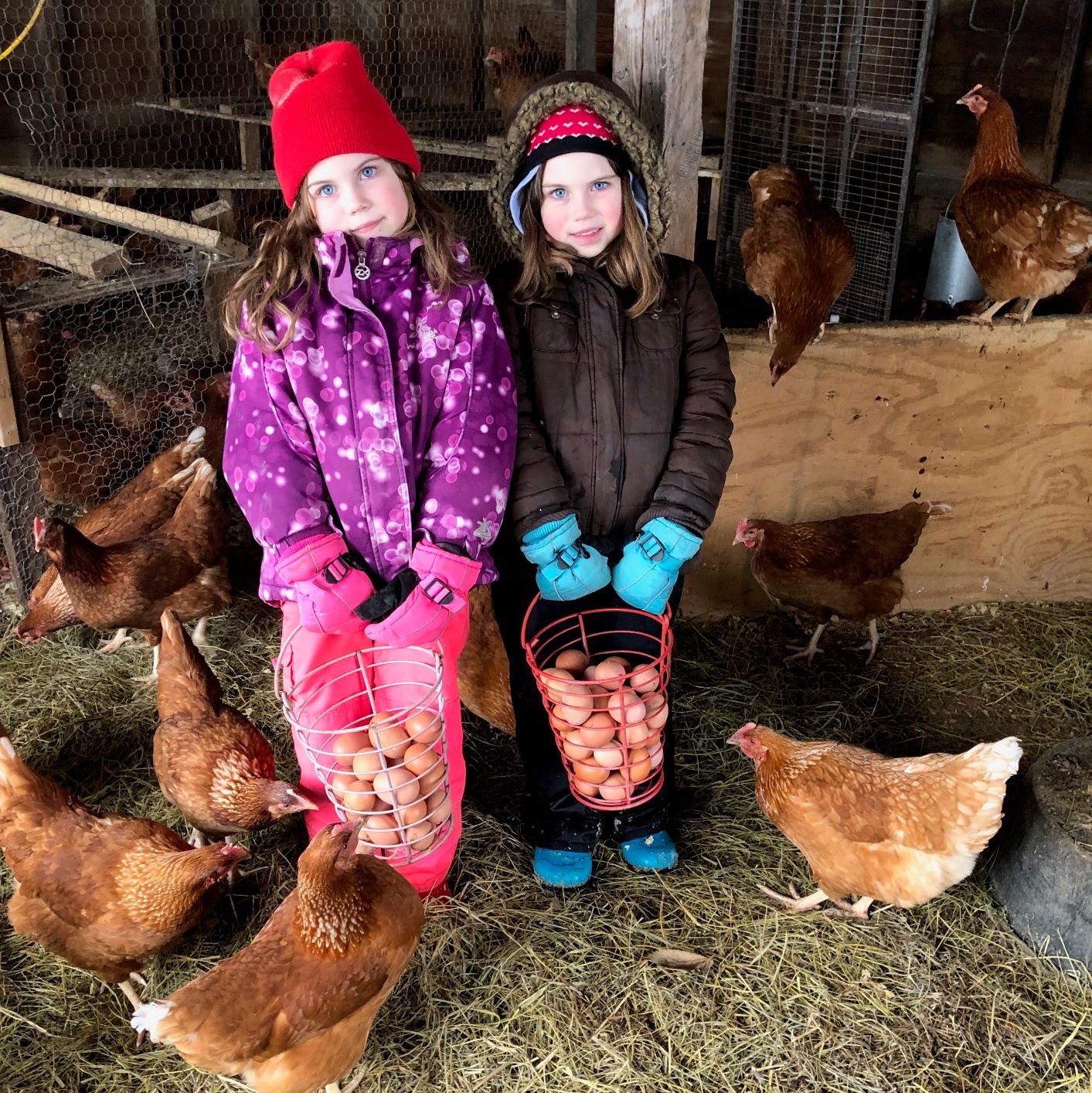 Previous Happening: Farm Happenings for March, 20, 2019: the LAST Winter CSA Pick Up!