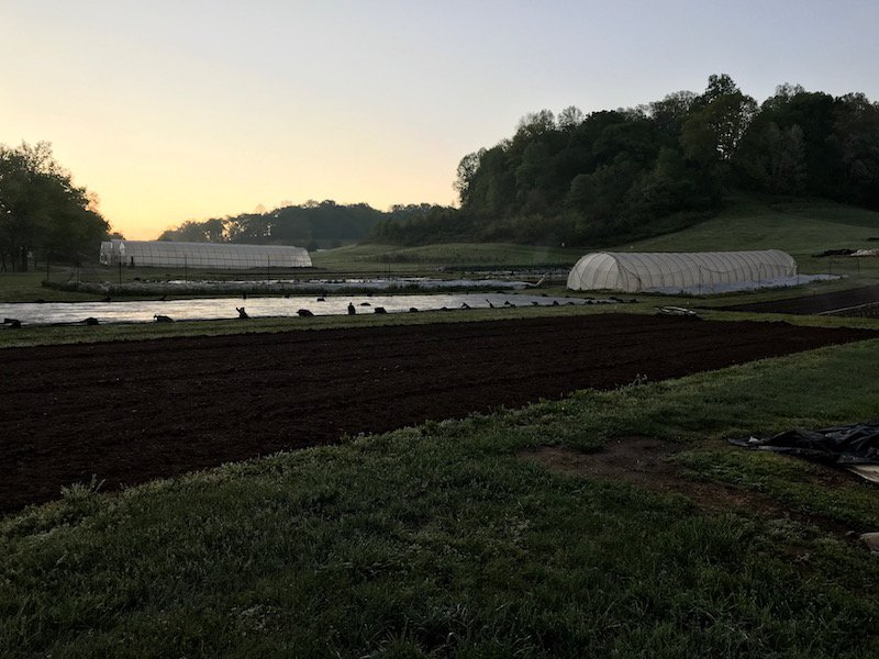 Next Happening: Farm Happenings for April 23, 2019