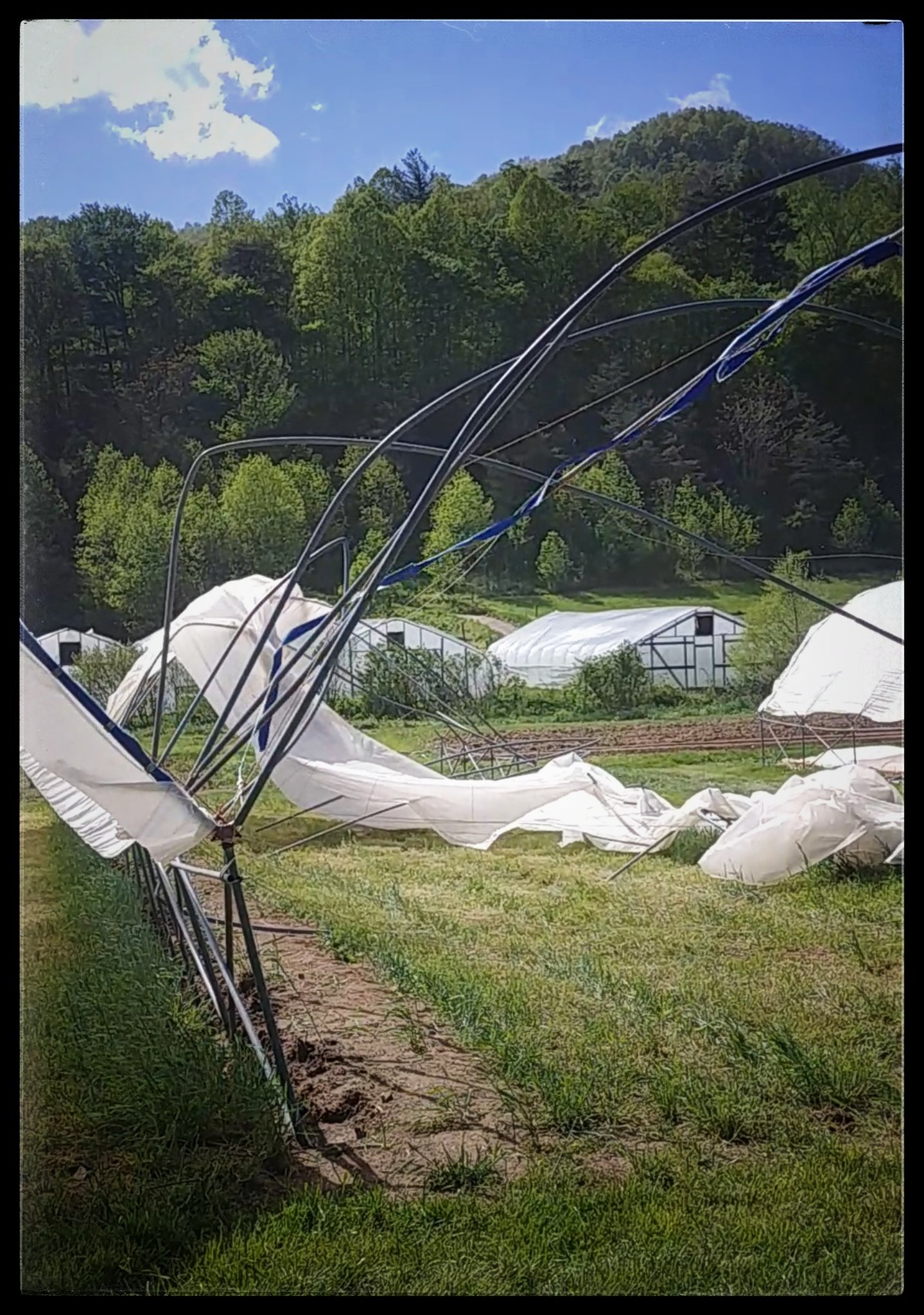 Previous Happening: Farm Happenings for May 7, 2019