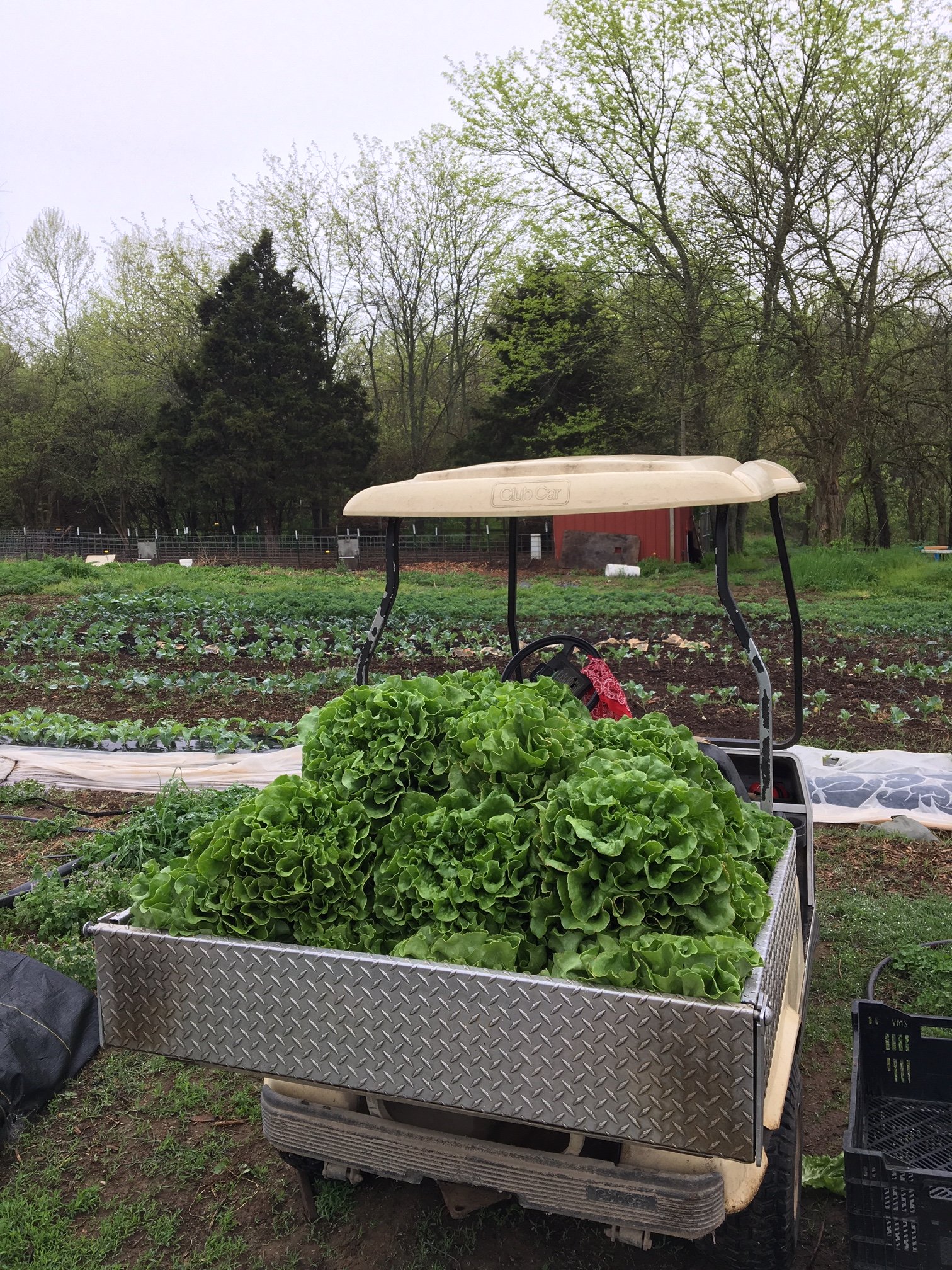 Dinner on the Farm! for May 7, 2019