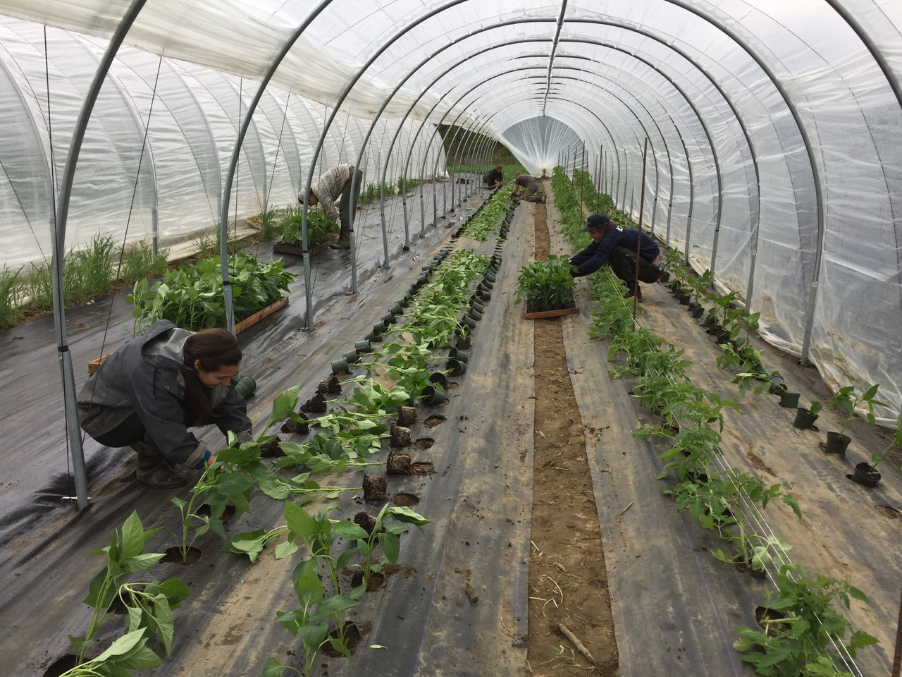 Farm Happenings for May 14, 2019
