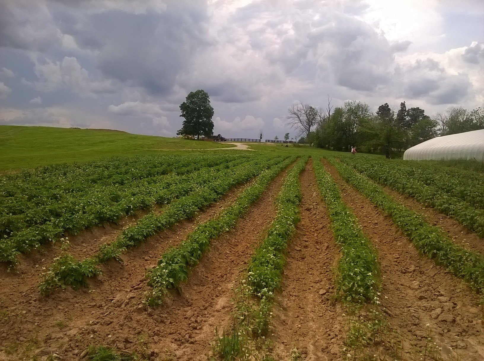 Previous Happening: Farm Happenings for May 21, 2019