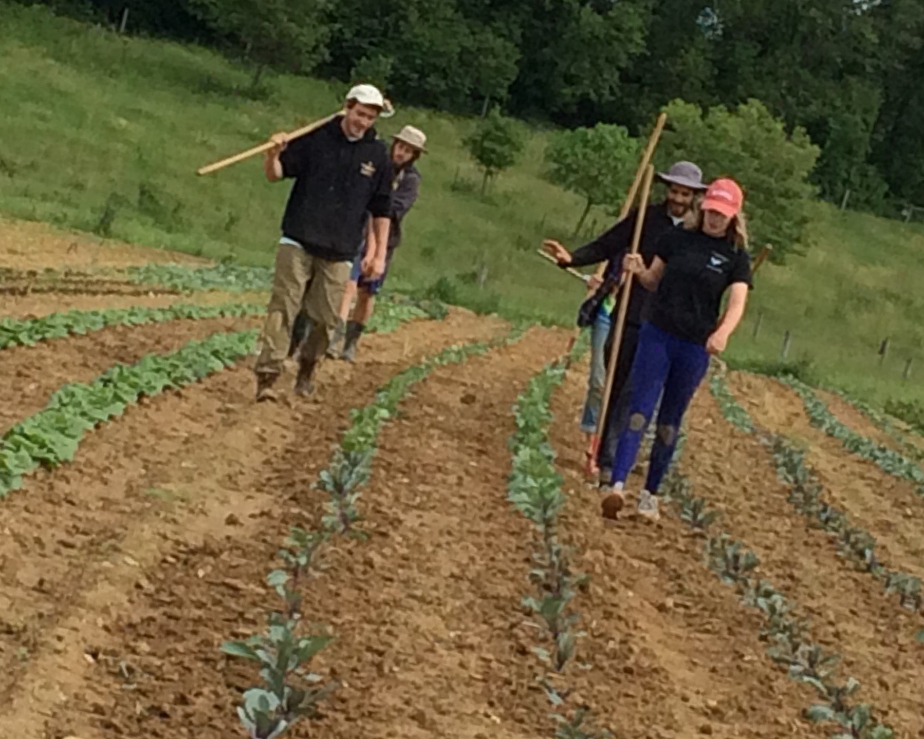 Previous Happening: Dickinson College Farm Field Notes for Week of May 27th