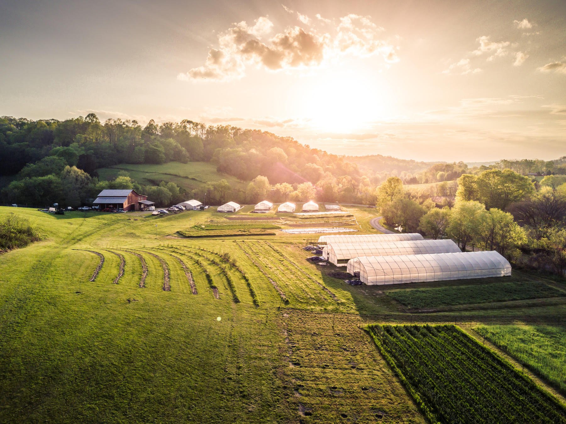 Next Happening: Farm Happenings for June 4, 2019