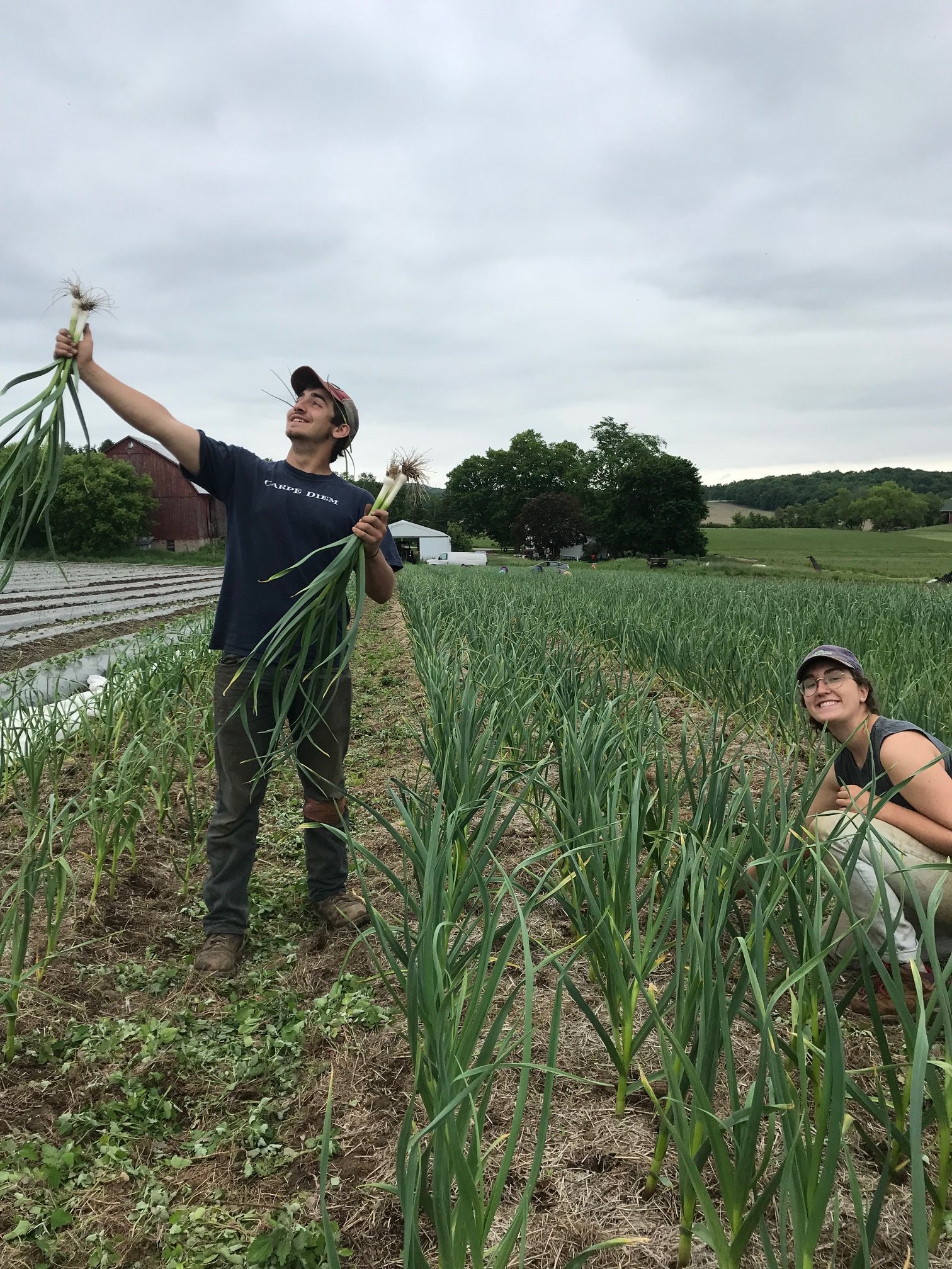 Previous Happening: Farm Happenings for June 19, 2019