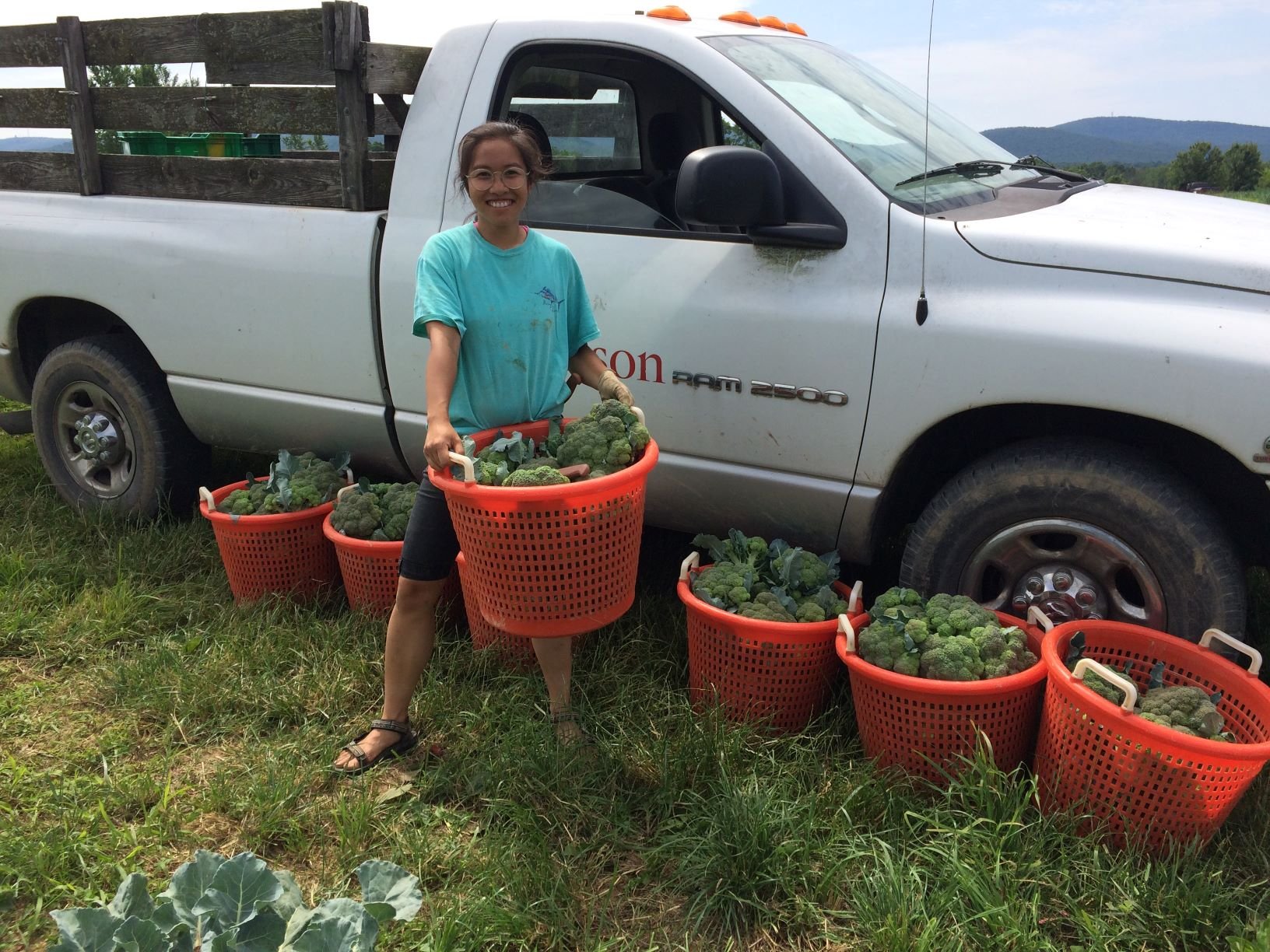Next Happening: Friday CSA: Dickinson College Farm Field Notes for Week of July 1st