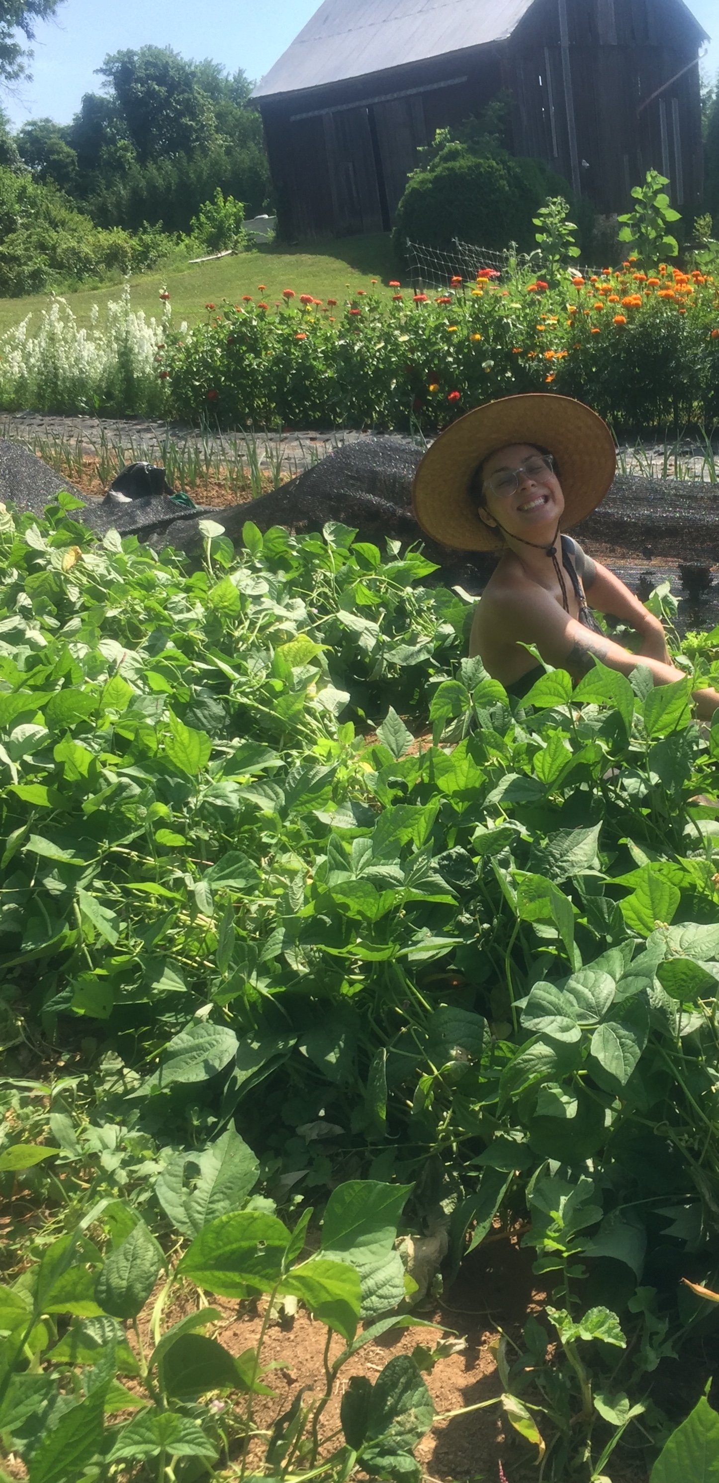 Previous Happening: Farm Happenings for July 9, 2019