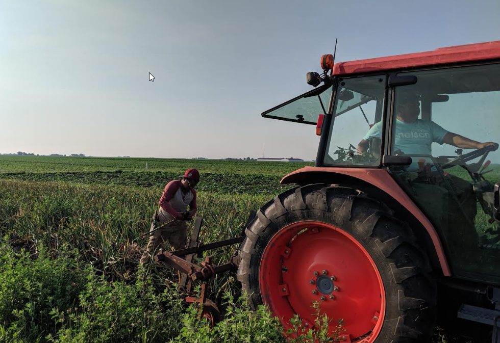 Previous Happening: Farm Happenings for July 17, 2019