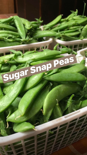 Previous Happening: Week 7 Summer 2019 Veggie Box Share- Coopers CSA Farm Happenings