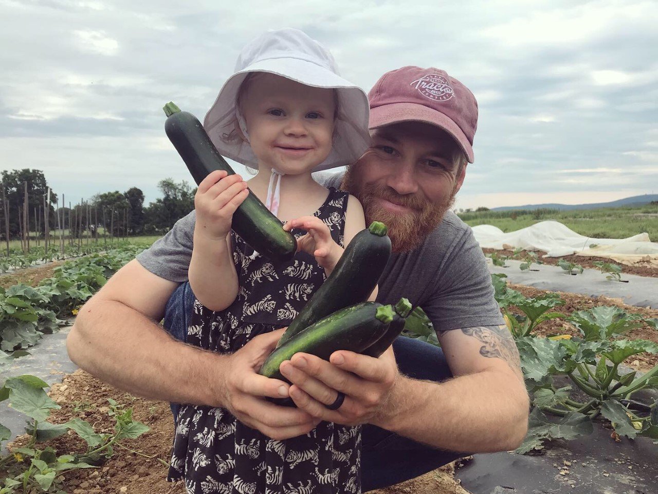 Tuesday CSA: Dickinson College Farm Field Notes for Week of July 22nd