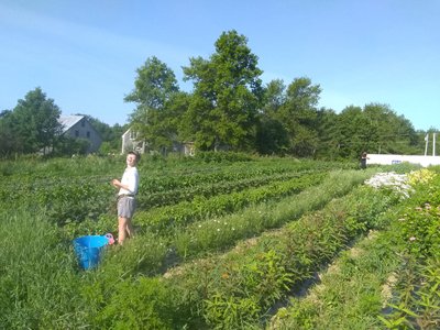 Previous Happening: Farm Happenings for July 23, 2019