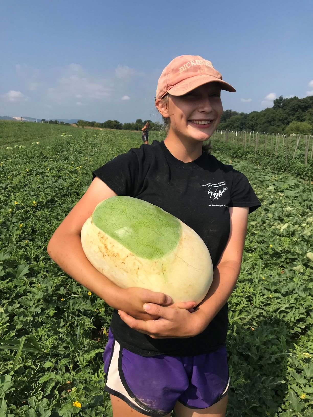 Next Happening: Tuesday CSA: Dickinson College Farm Field Notes for Week of August 5th