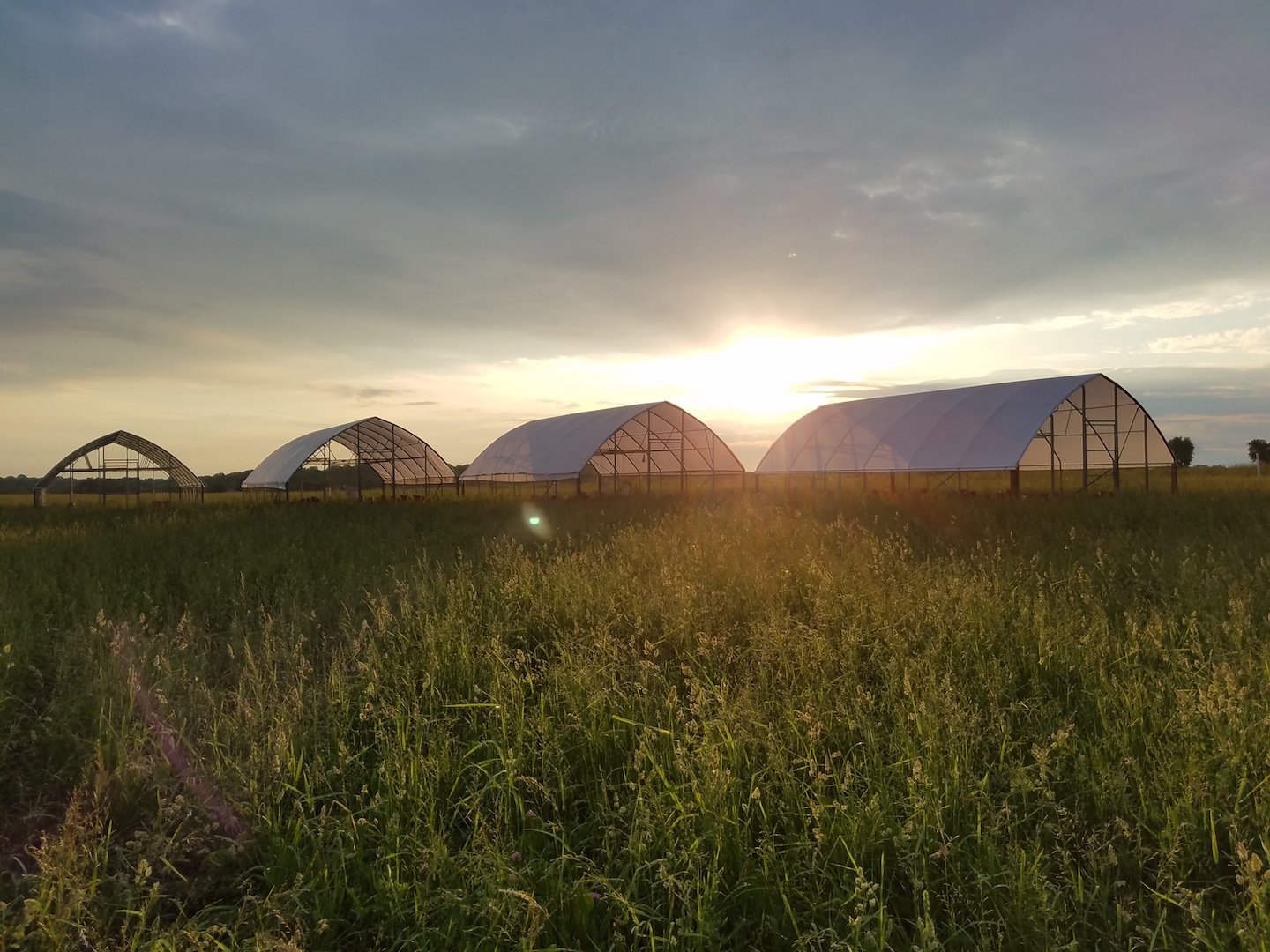 Previous Happening: Farm Happenings for August 9, 2019