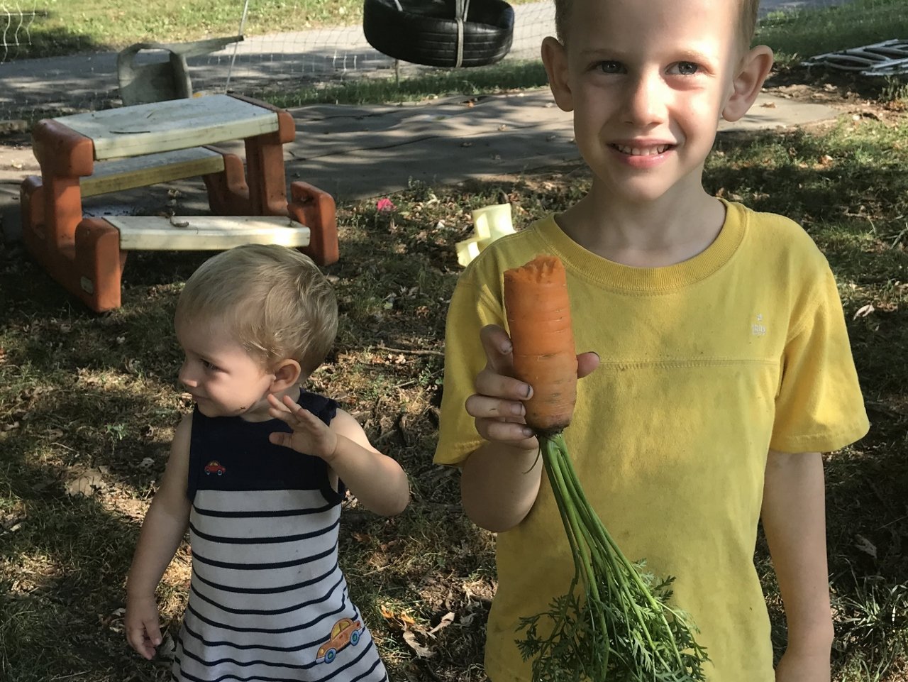 Next Happening: Carrots Finally!