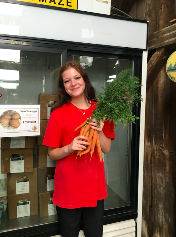 Previous Happening: Week 12 of 20; Summer 2019 Vegetable Share: Coopers CSA Farm Happenings