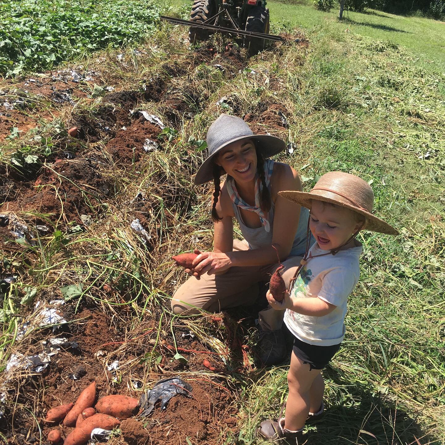 Previous Happening: Farm Happenings for second week of September, 2019