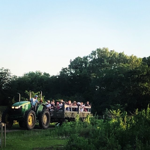Previous Happening: Farm Happenings for September 18, 19, and 21, 2019: LAST Summer CSA!