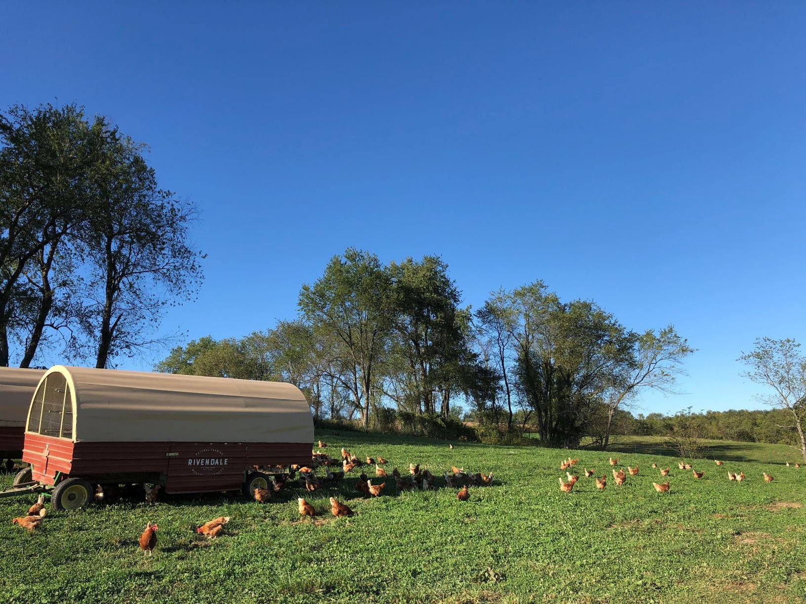 Previous Happening: Farm Happenings for September 24, 2019 (week 16)
