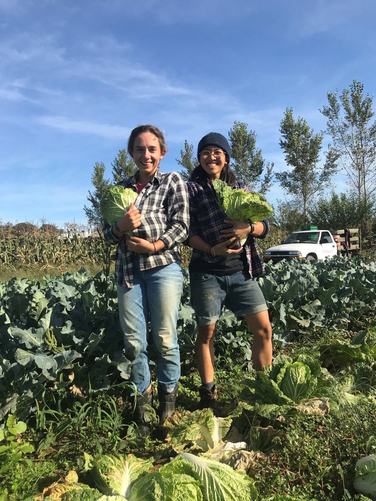 Tuesday CSA: Dickinson College Farm Field Notes for Week of September 30th