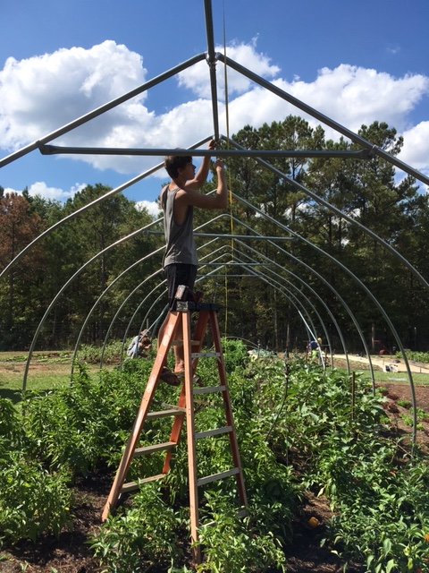 Next Happening: New Grow Tunnels for Winter Production!
