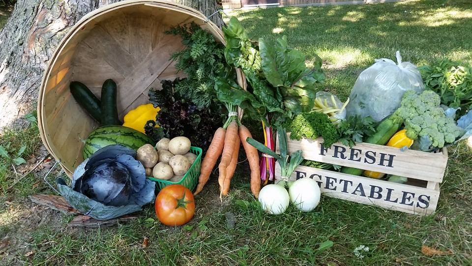 Previous Happening: Farm Happenings for the week of October 22, 2019