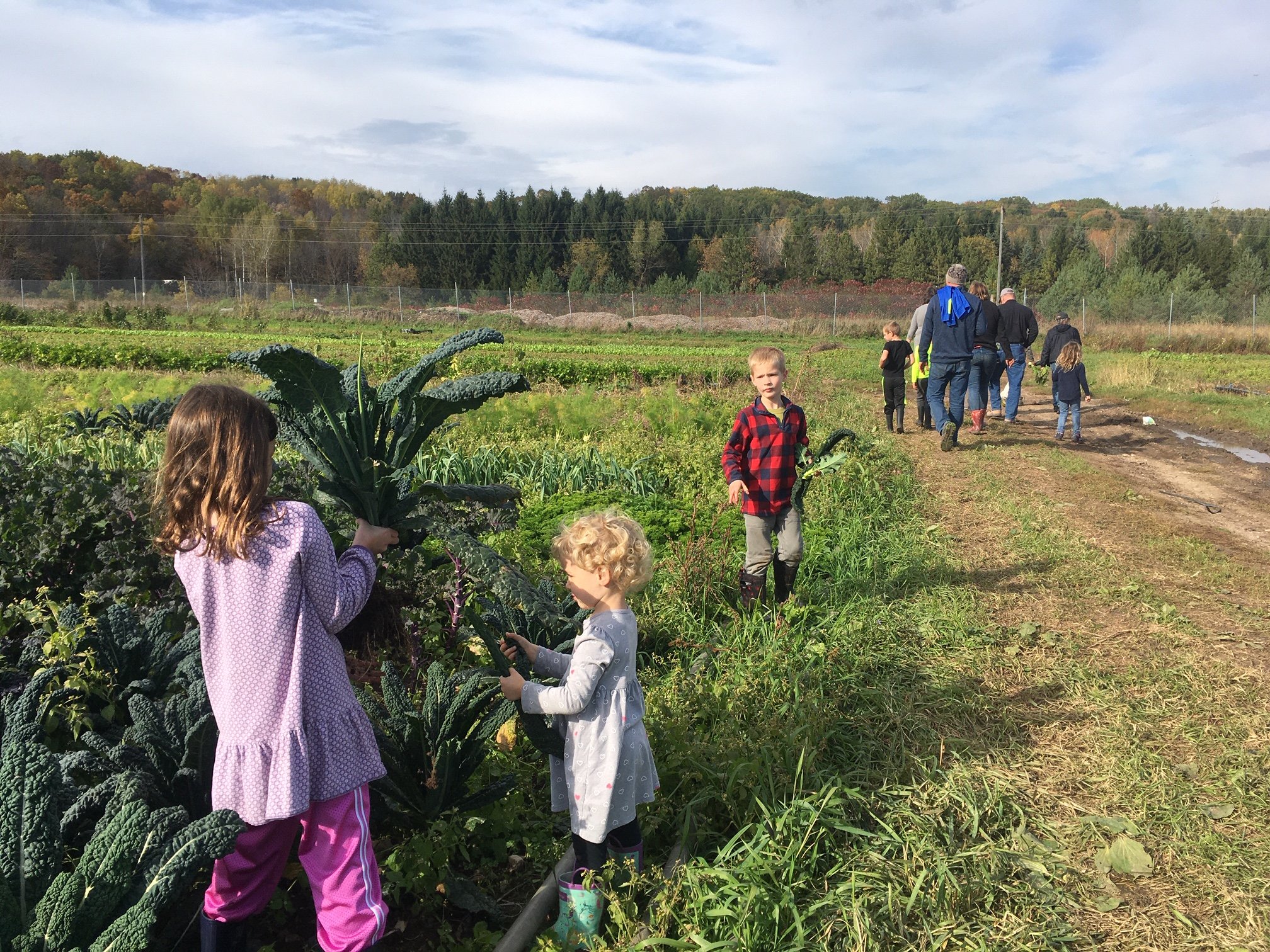 Previous Happening: Farm Happenings for October 23, 2019