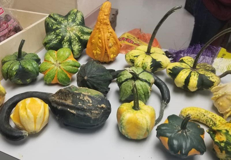 Previous Happening: Itsy, Bitsy Gourds!