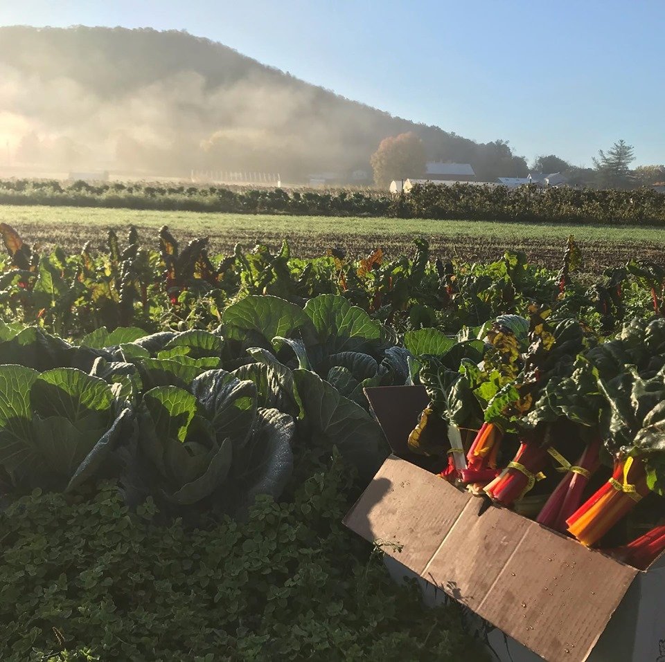 Previous Happening: Farm Happenings for October 29, 2019: Please Read