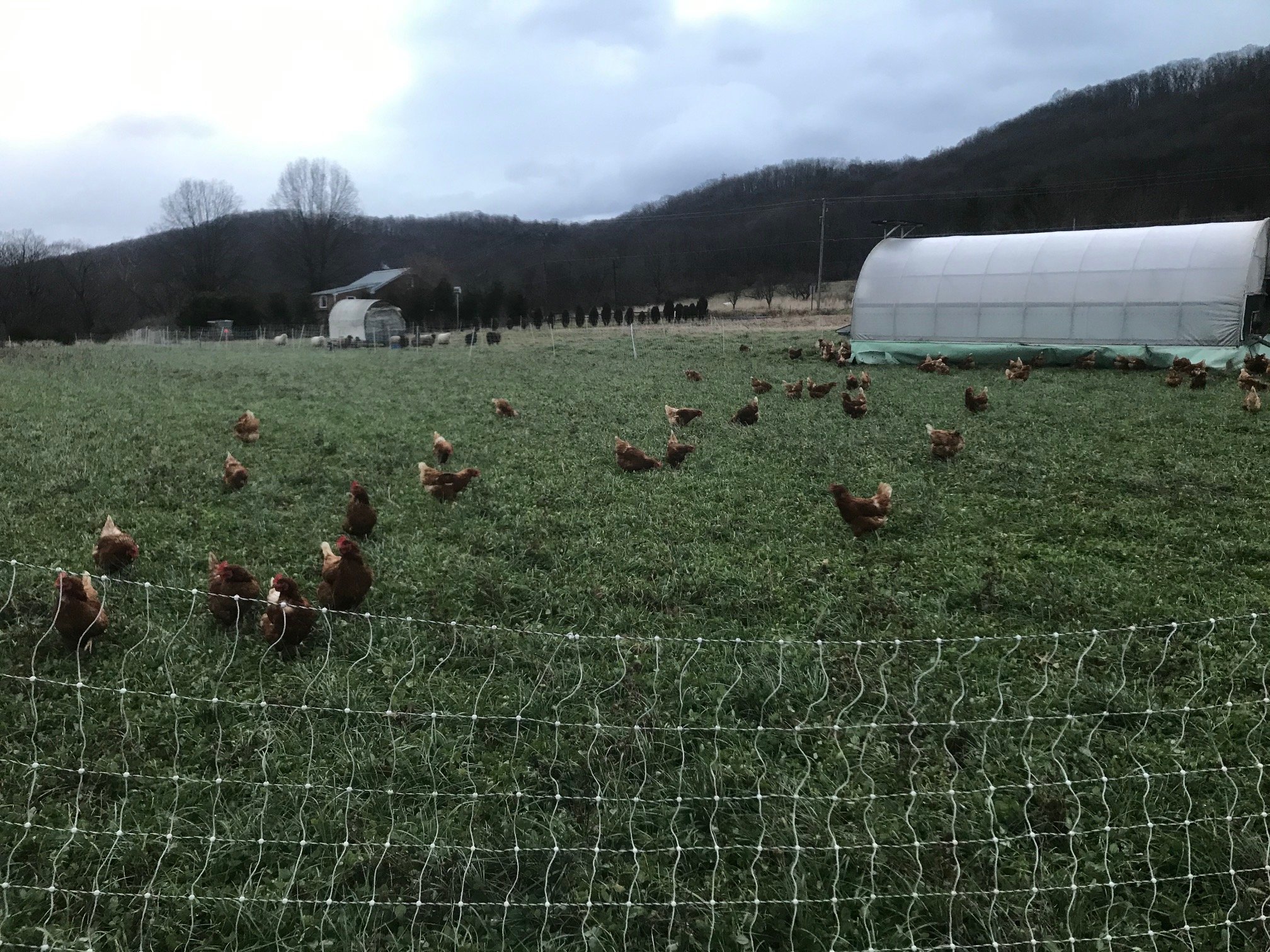 Next Happening: Farm Happenings for December 10, 2019