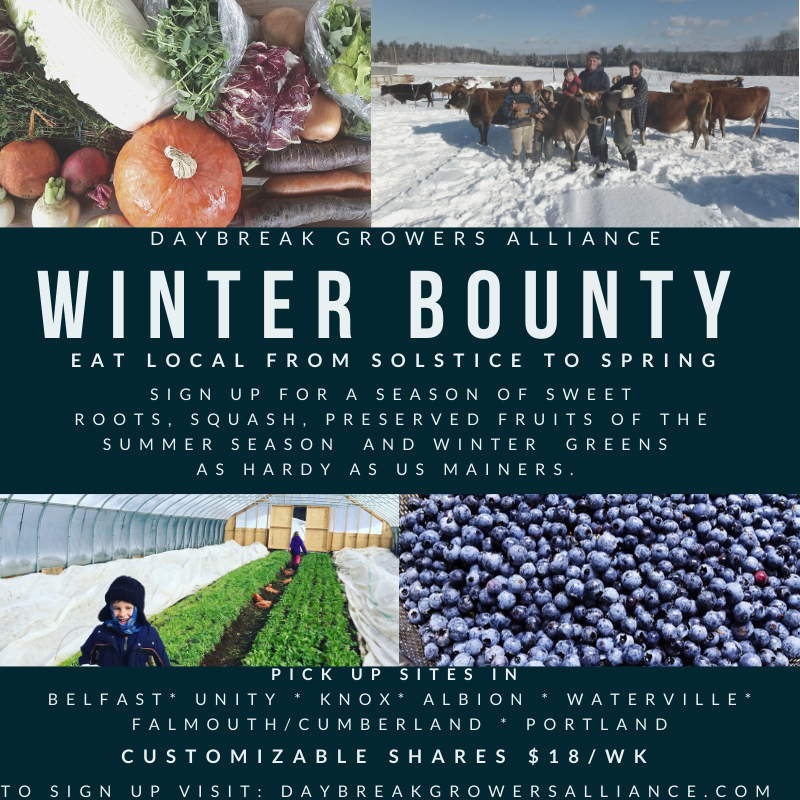 Next Happening: Farm Happenings 12/17/19. Note on Christmas week shares. Winter Bounty Shares Start Jan. 7th! Sign up now! Update from Villageside Farm