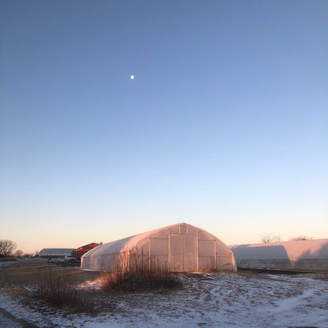 Farm Happening for January 22, 2020: Welcome to the Winter CSA!