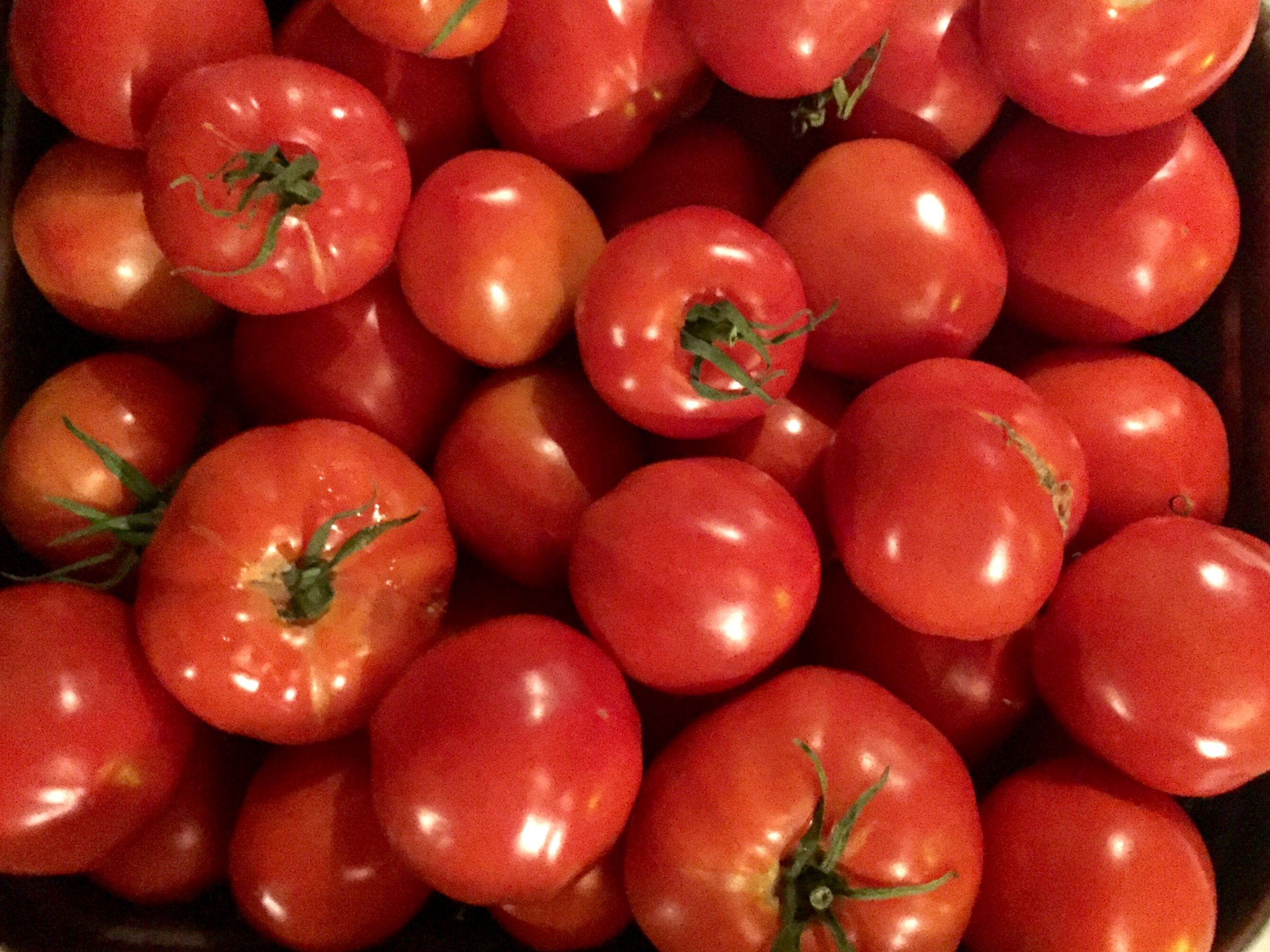 Tomatoes are back for January 25!