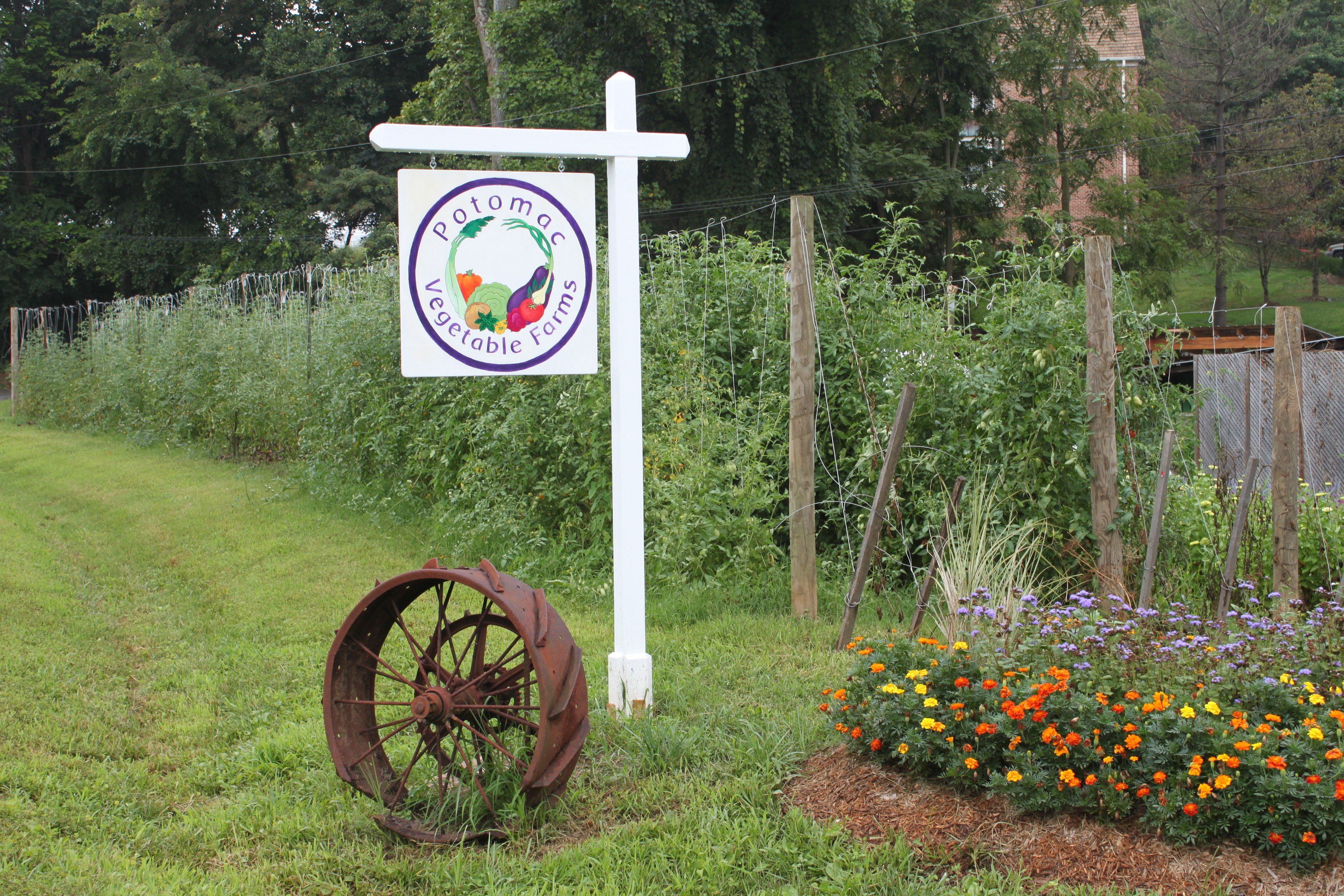 Welcome to Potomac Vegetable Farms!