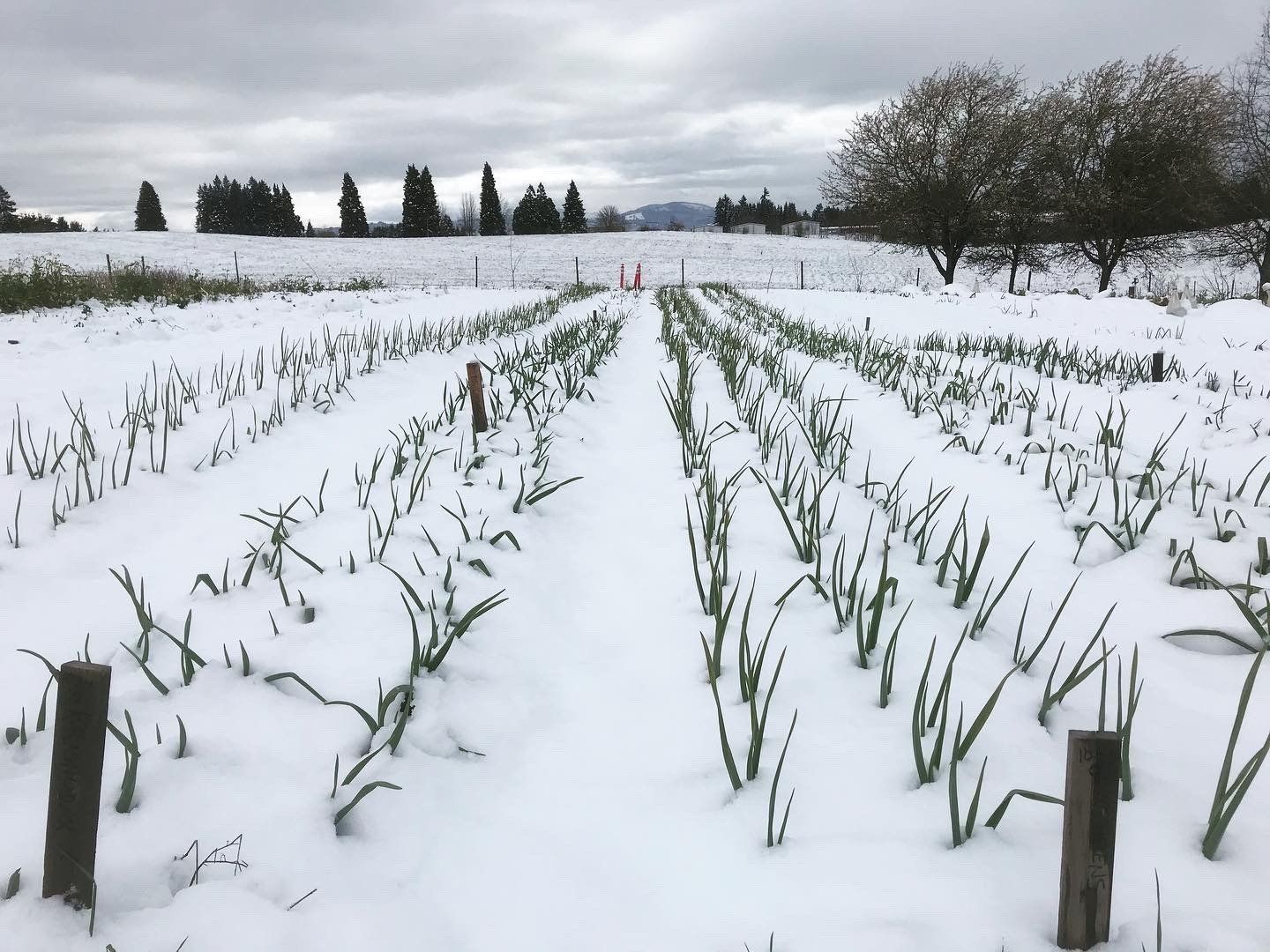 Previous Happening: Farm Happenings for March 20, 2020