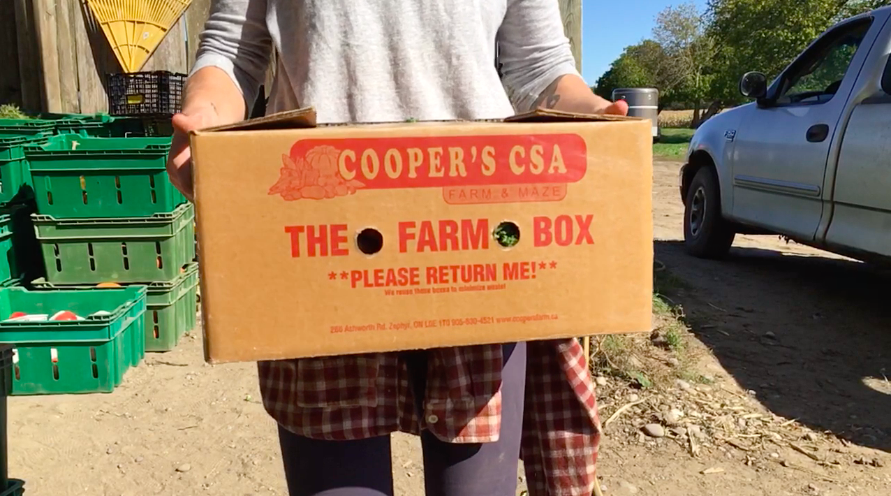 Week 10 of 14 Winter/Spring 2020 Vegetable Share: Cooper's CSA Farm Happenings