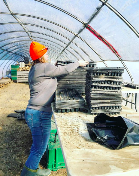 Next Happening: Week 11 of 14 Winter/Spring 2020 Vegetable Share: Cooper's CSA Farm Happenings