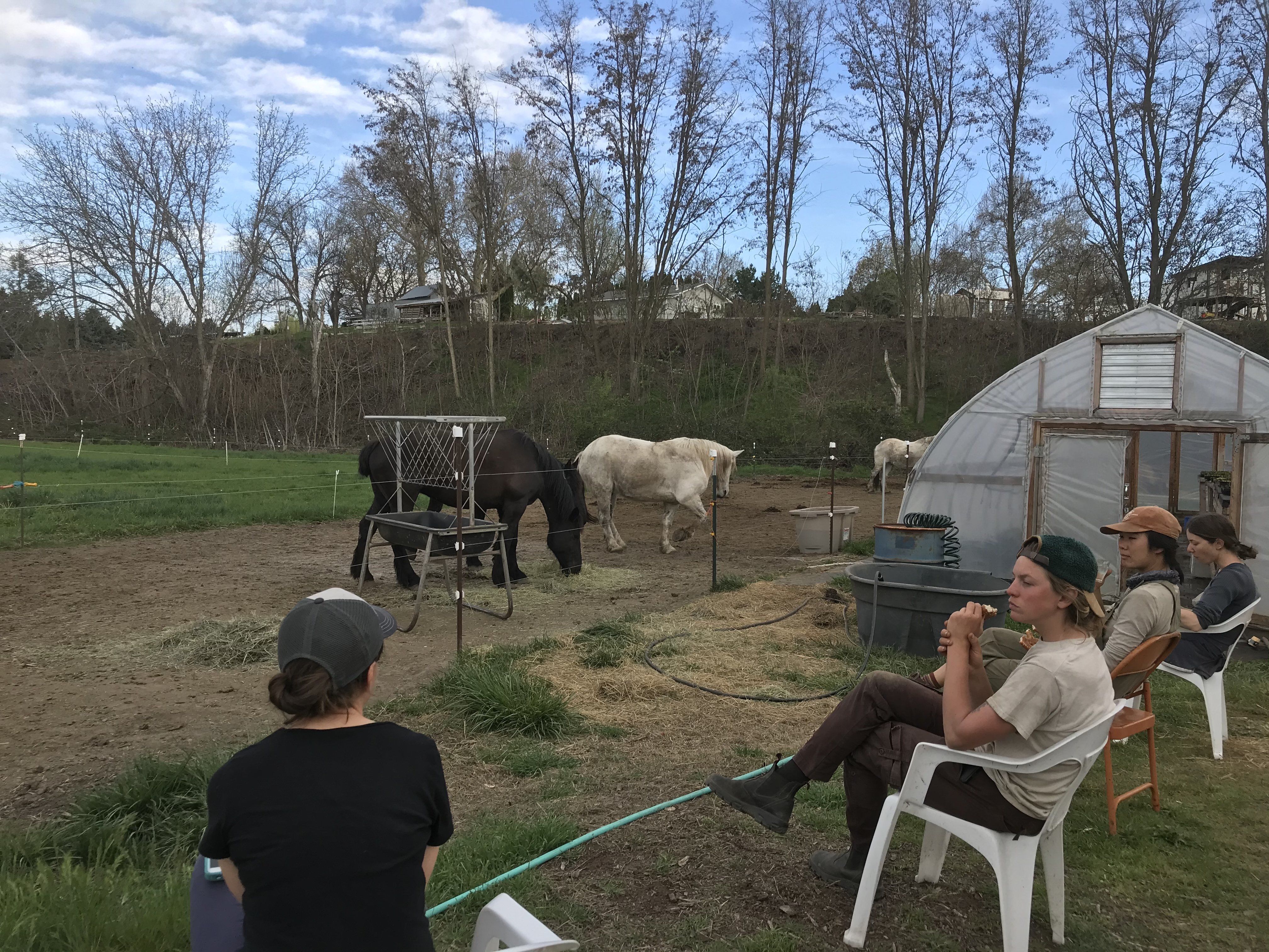 Next Happening: Farm Happenings for April 17, 2020 Walla Walla