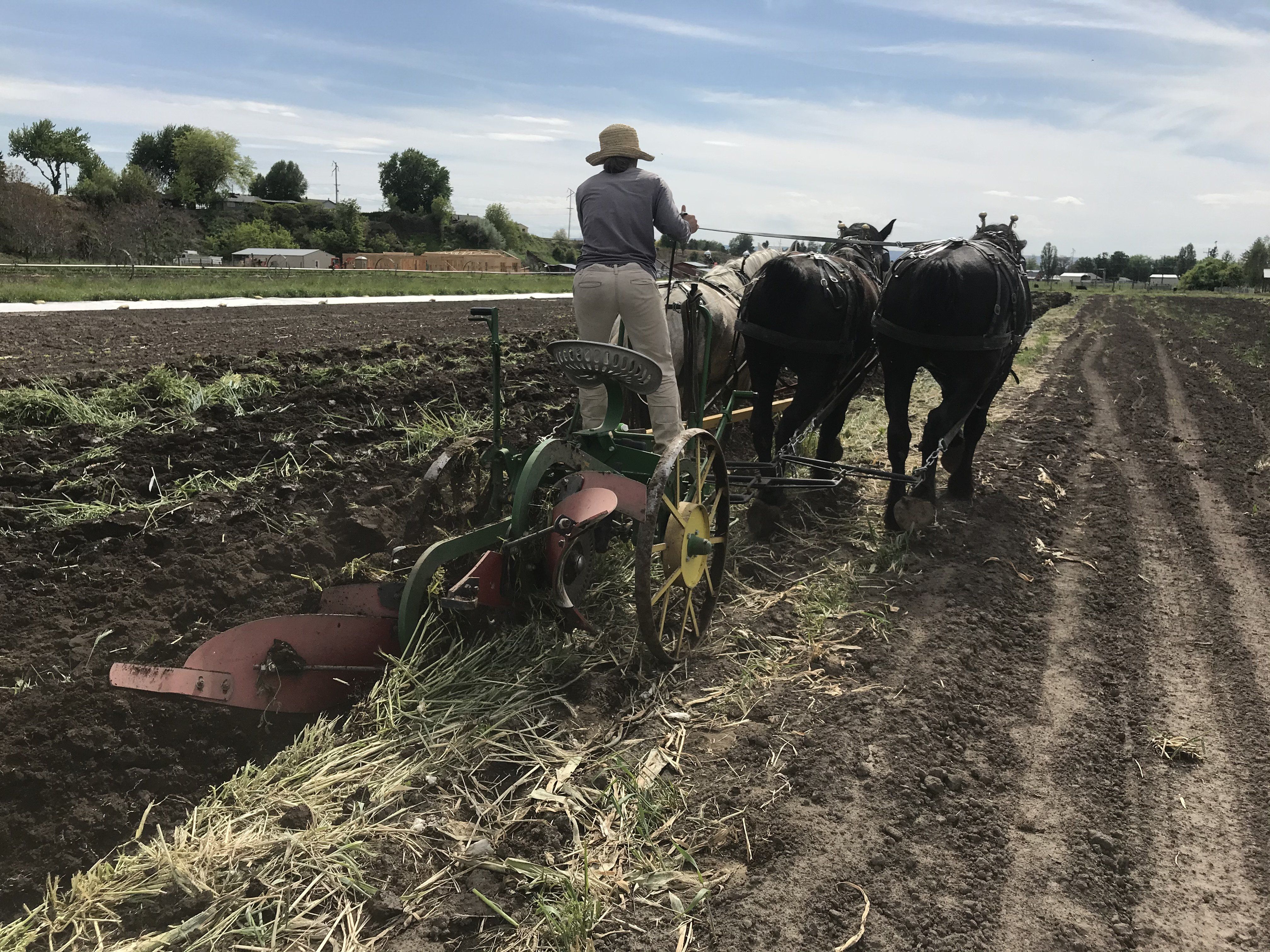 Next Happening: Farm Happenings for May 8, 2020