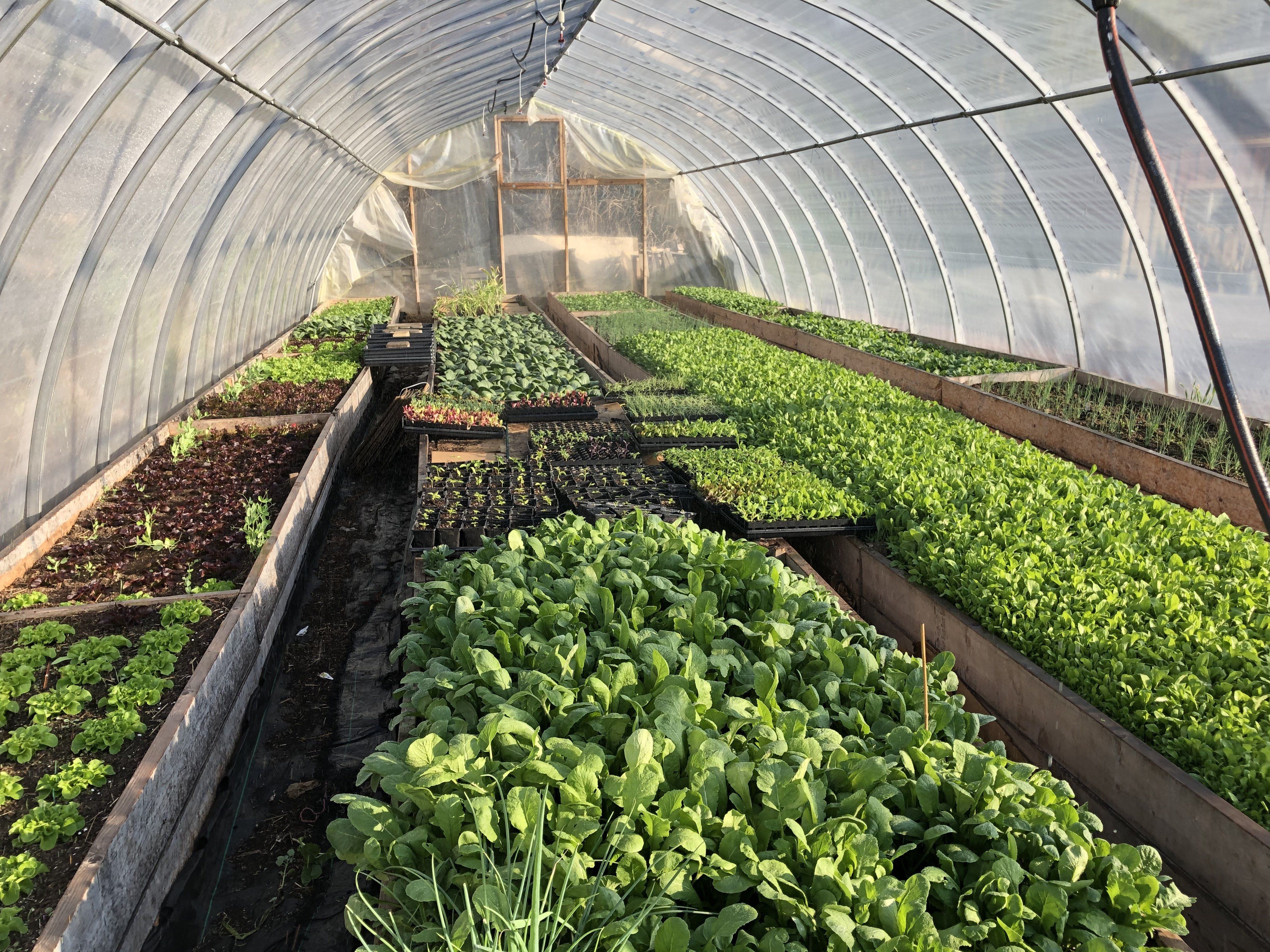 Farm Happenings for May 13, 2020
